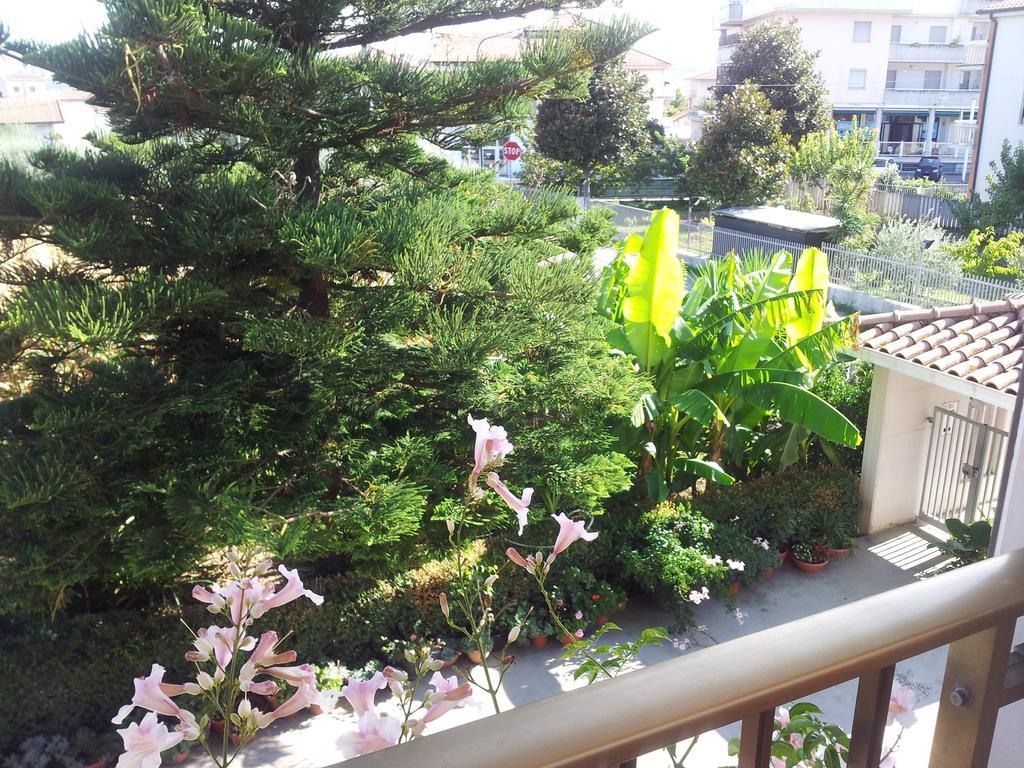 安吉莉卡住宿加早餐旅馆 阿布鲁齐的罗塞托 外观 照片